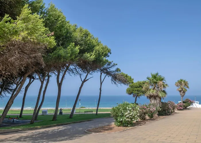 Mirador De La Atalaya Con Jardin
